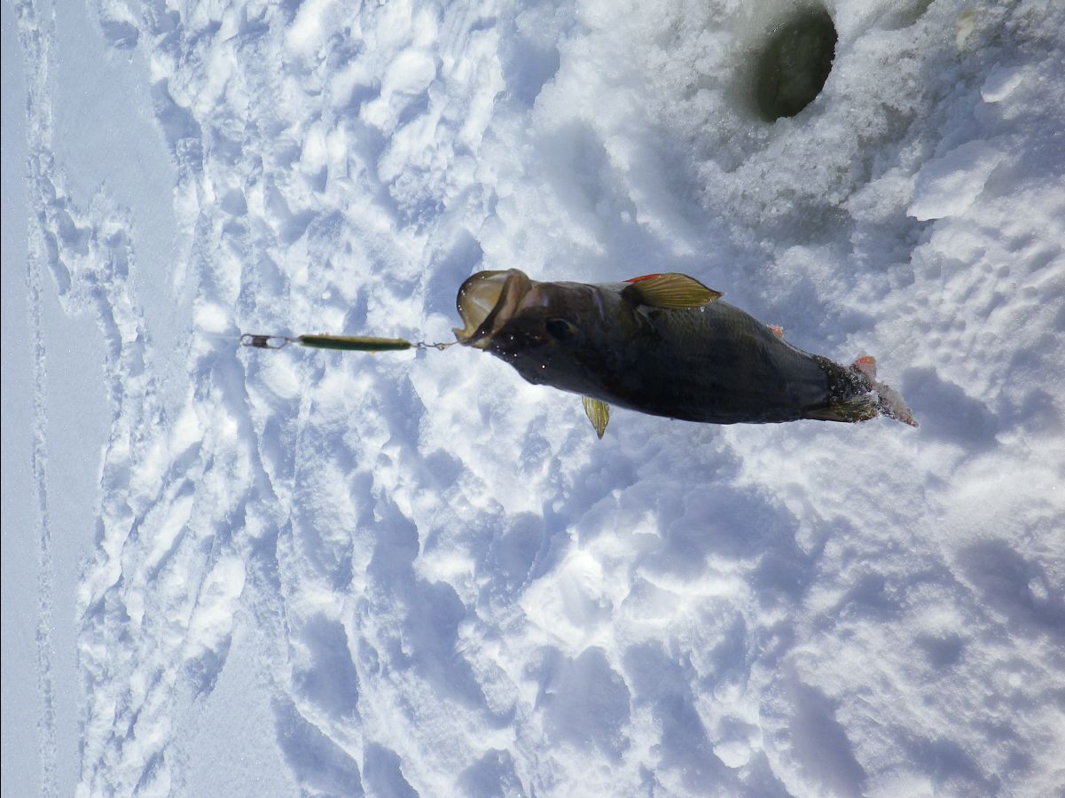 Ice Fishing24